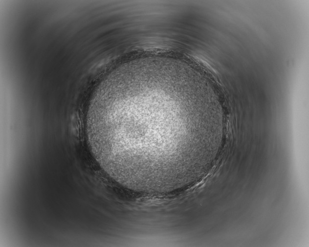X0000095930917200801251047