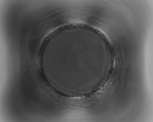 X0000095930919200801251047
