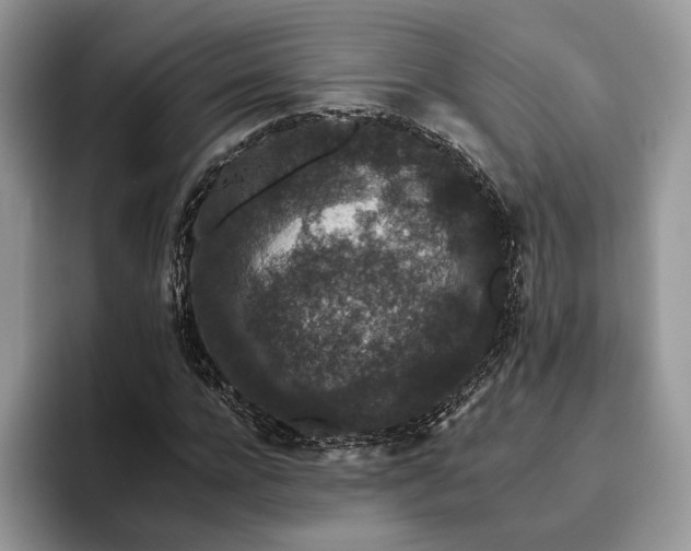 X0000095930920200801251047