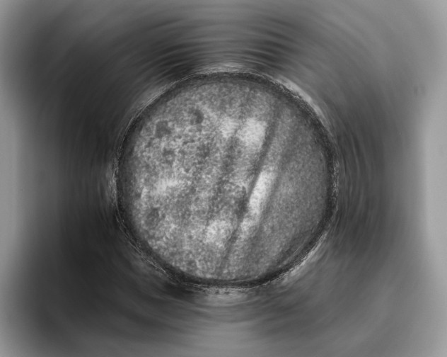 X0000095930921200801251047