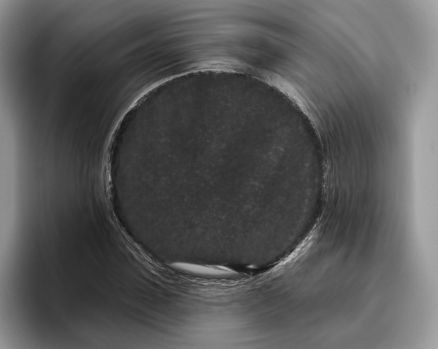 X0000095930923200801251047
