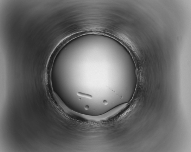 X0000095930924200801251047
