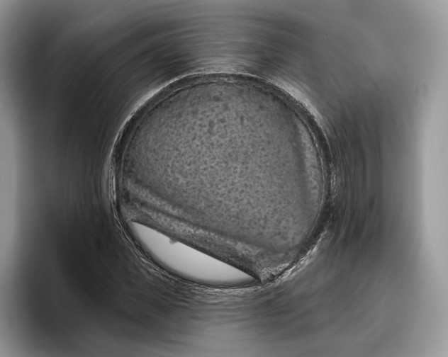 X0000095930925200801251047