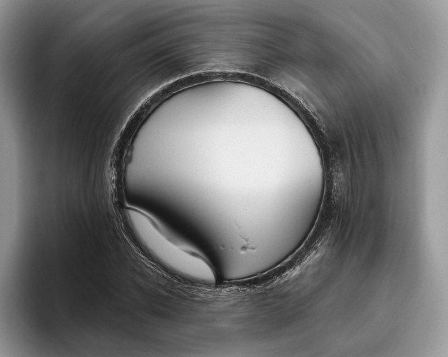 X0000095930926200801251047