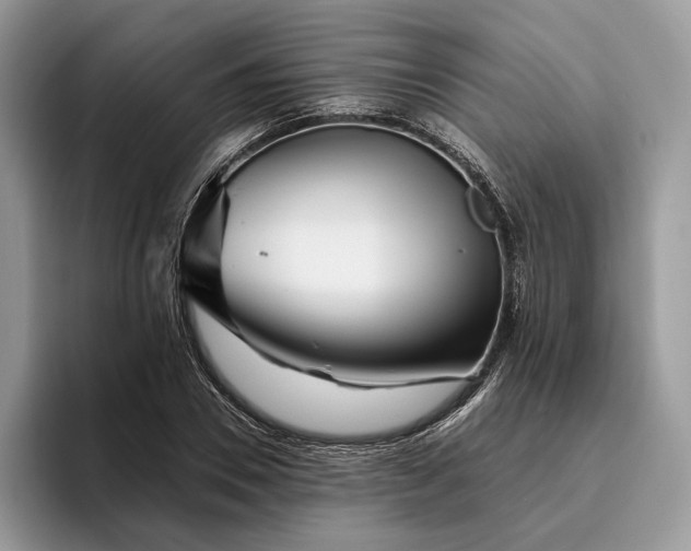 X0000095930930200801251047