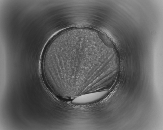 X0000095930932200801251047