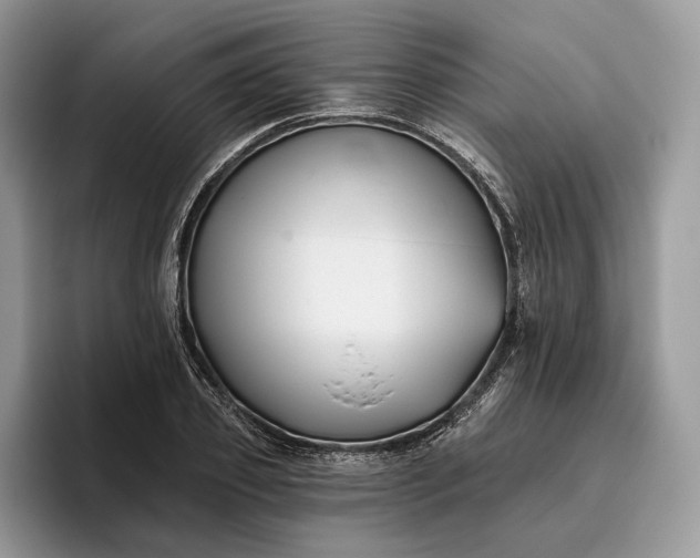 X0000095930933200801251047