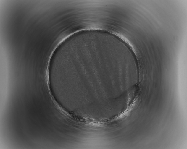 X0000095930935200801251047