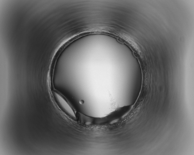 X0000095930936200801251047
