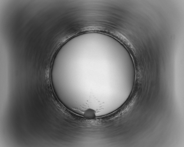 X0000095930937200801251047