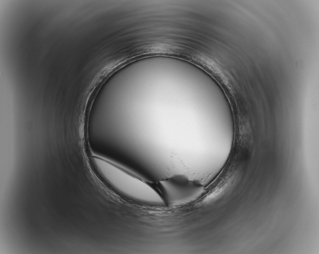 X0000095930938200801251047