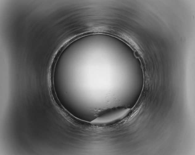 X0000095930939200801251047