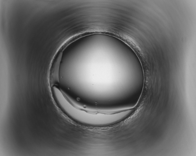 X0000095930942200801251047