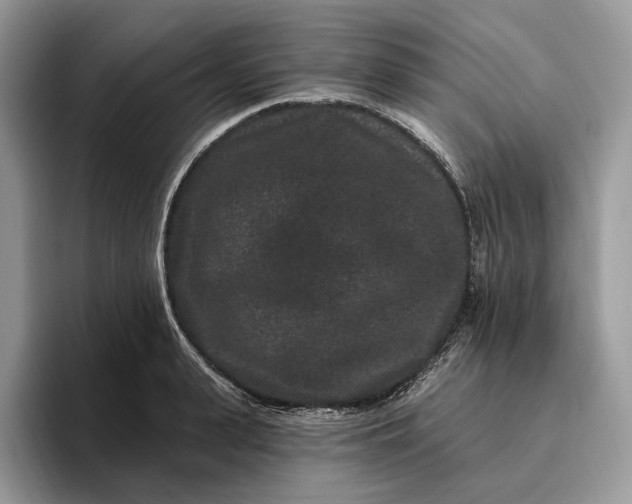 X0000095930943200801251047