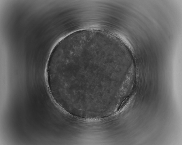 X0000095930944200801251047