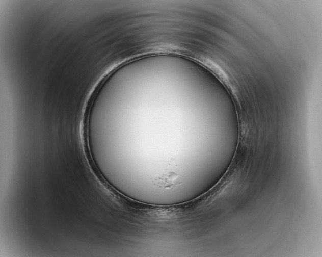 X0000095930947200801251047