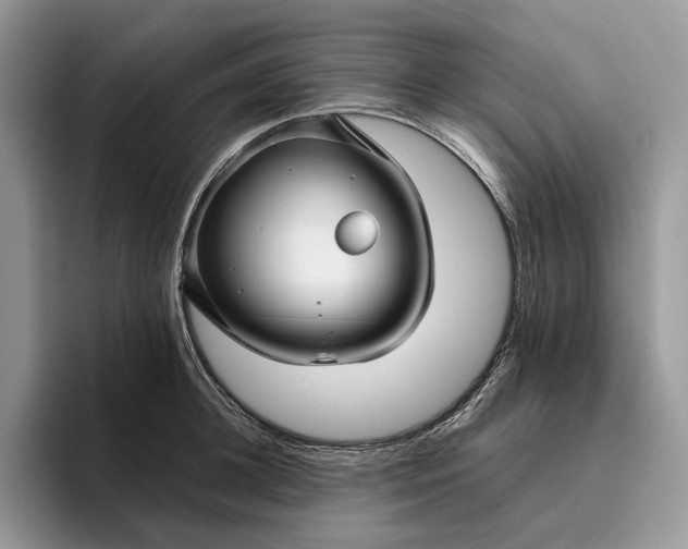 X0000095930948200801251047