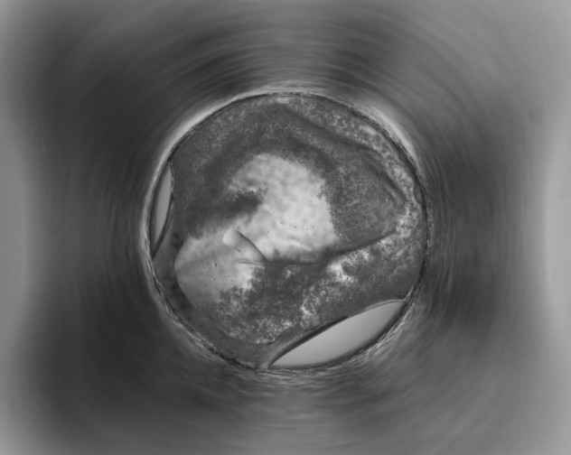 X0000095930952200801251047