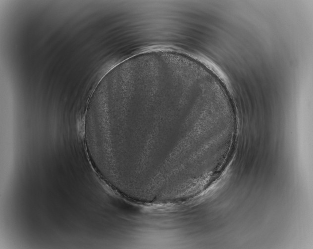 X0000095930953200801251047