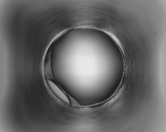 X0000095930957200801251047