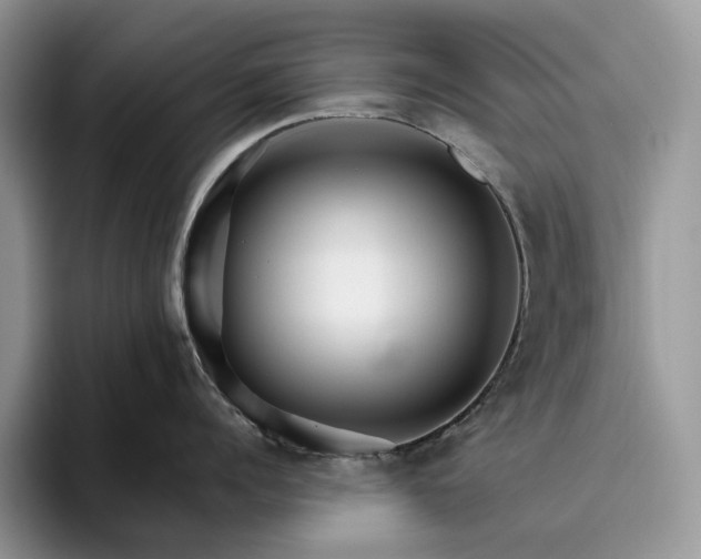 X0000095930960200801251047