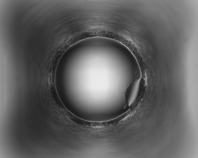 X0000095930965200801251046