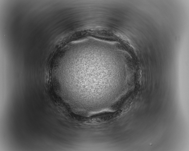 X0000095930966200801251046