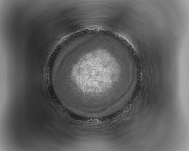 X0000095930968200801251046