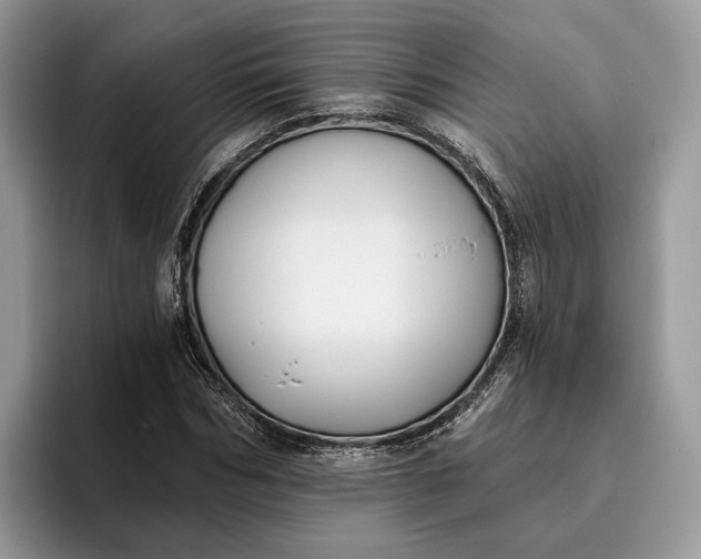 X0000095930970200801251046