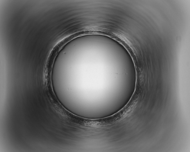 X0000095930971200801251046