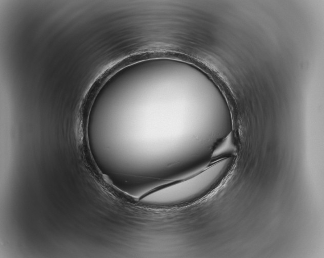X0000095930973200801251046