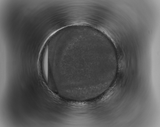 X0000095930975200801251046