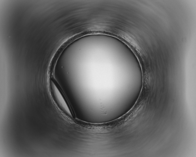 X0000095930976200801251046