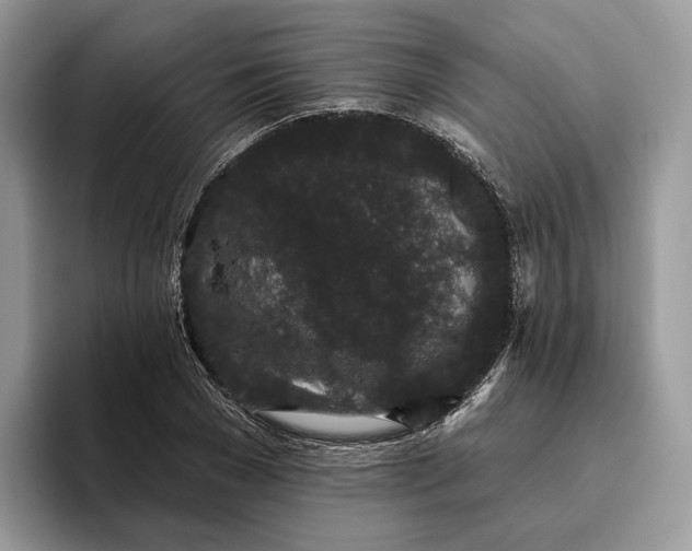X0000095930977200801251046
