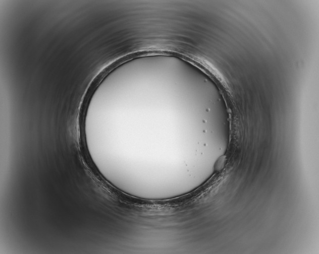 X0000095930980200801251046