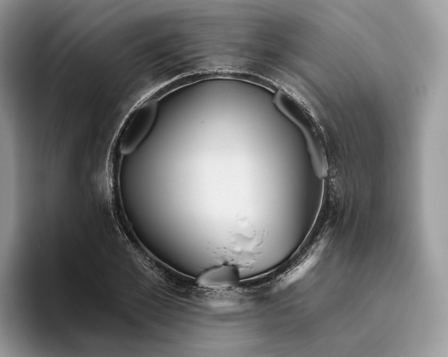 X0000095930981200801251046