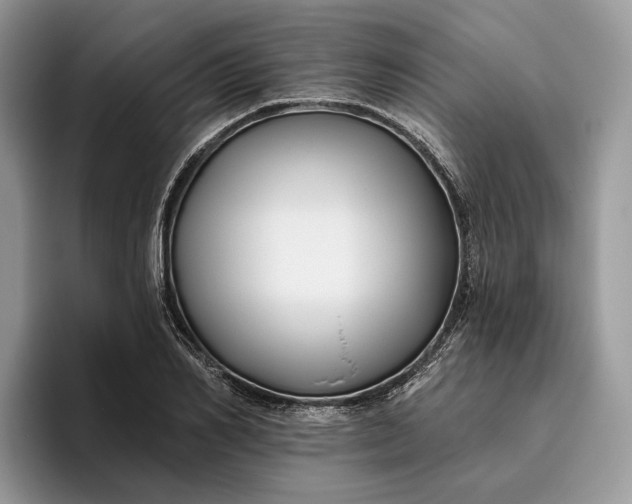X0000095930982200801251046