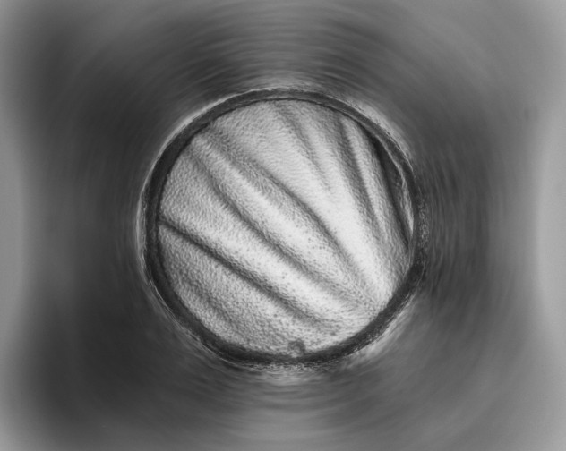 X0000095930983200801251046