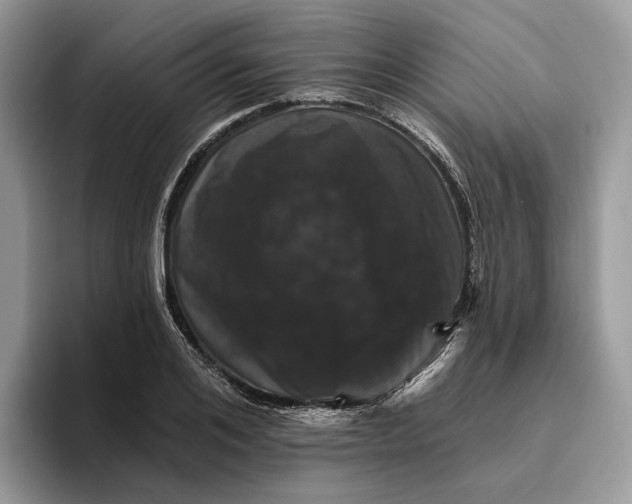 X0000095930984200801251046