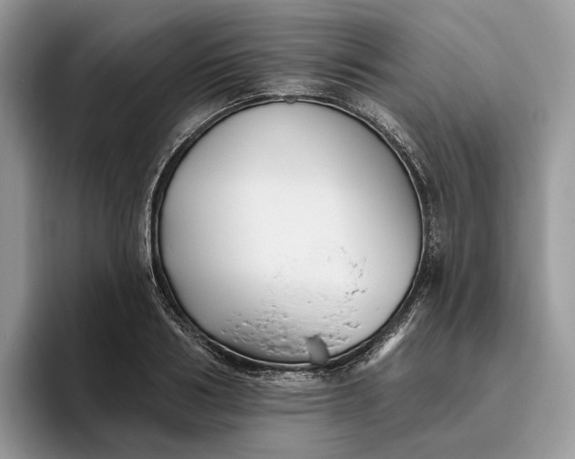 X0000095930986200801251046