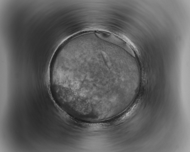 X0000095930988200801251046