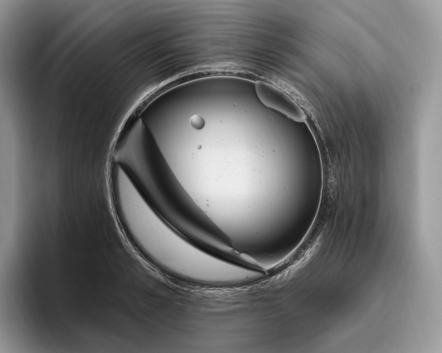 X0000095930989200801251046