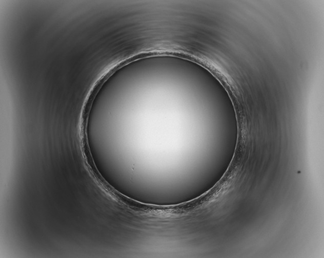 X0000095930990200801251046