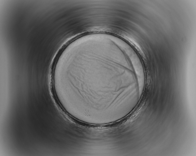 X0000095930992200801251046