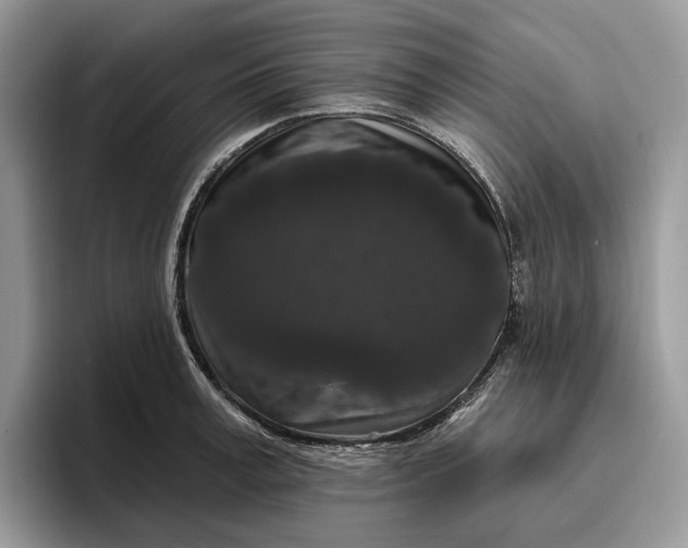 X0000095930995200801251046