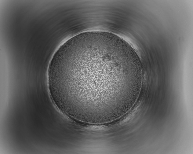X0000095930998200801251046