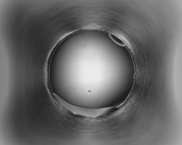 X0000095931000200801251046