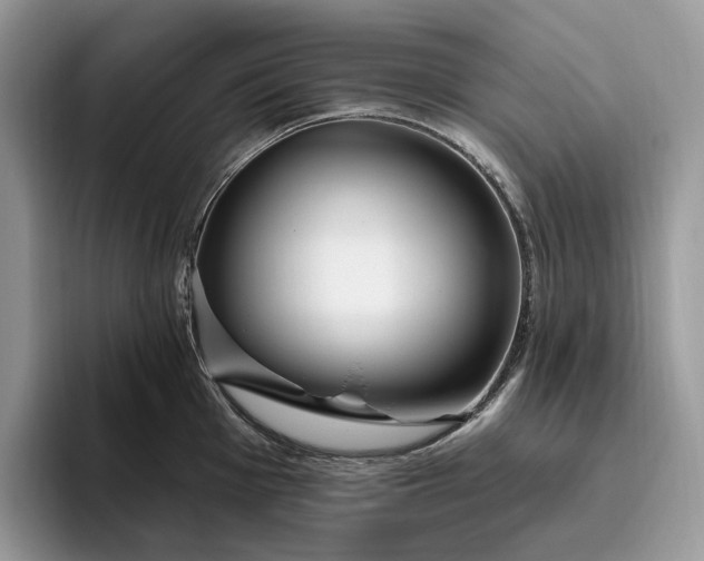 X0000095931001200801251046