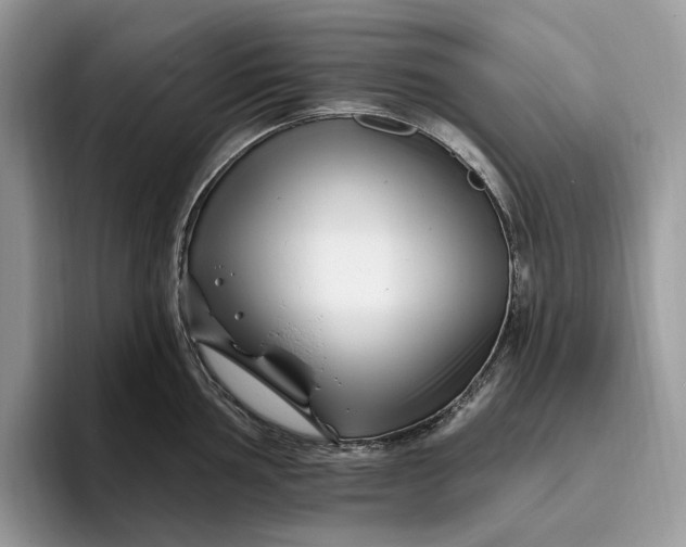 X0000095931002200801251046
