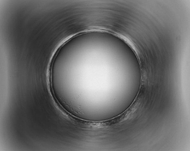 X0000095931003200801251046